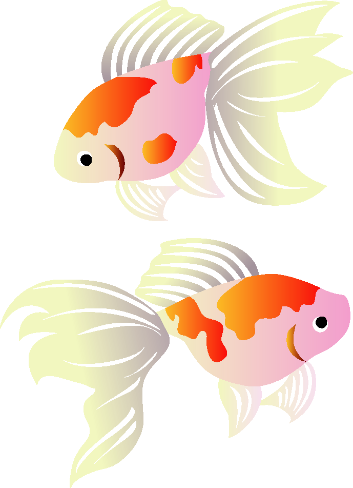 Koi Greeting Illustration Cards Goldfish Post PNG Image