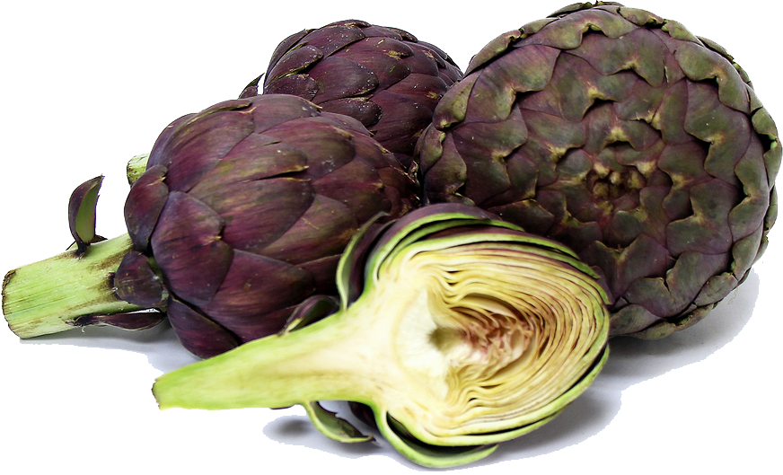 Artichokes Photos PNG Image