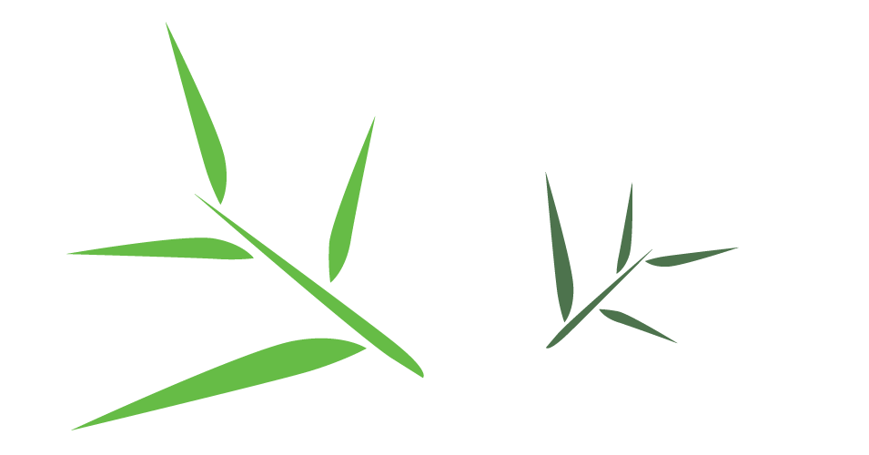 Bamboo Leaf Free Download PNG Image