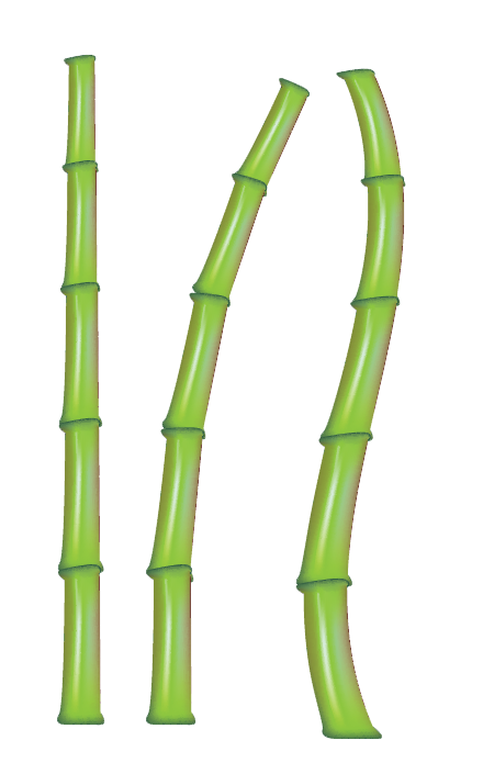 Bamboo Stick Transparent PNG Image