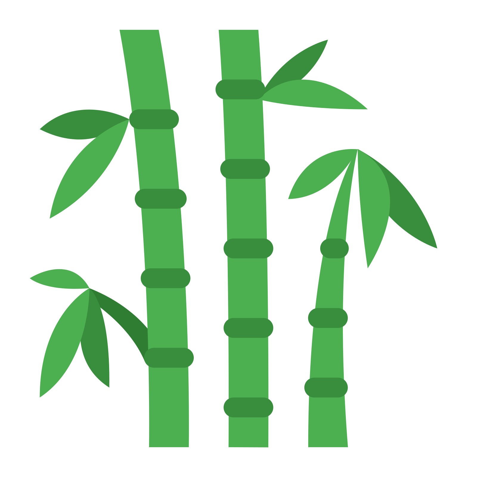 Bamboo Leaf Clipart PNG Image