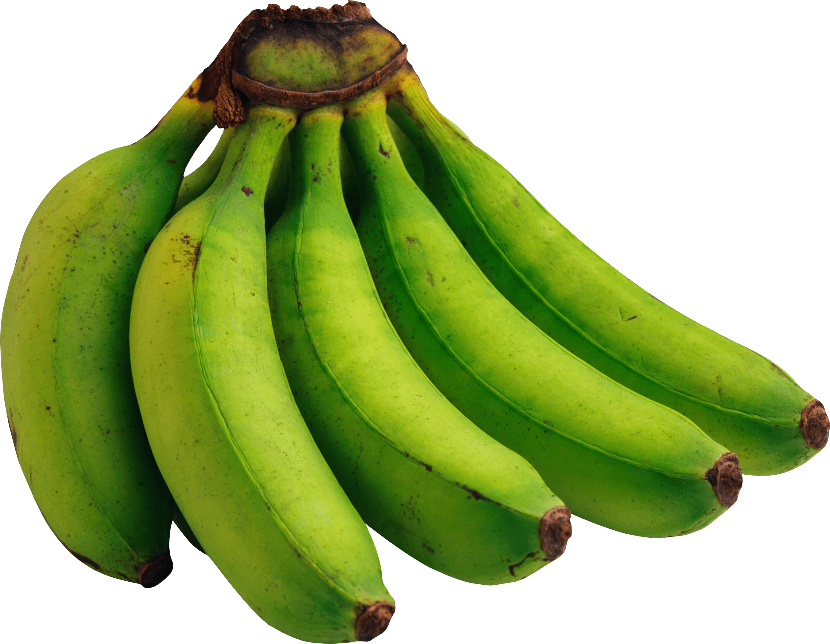 Green Bananas Png Image Picture PNG Image