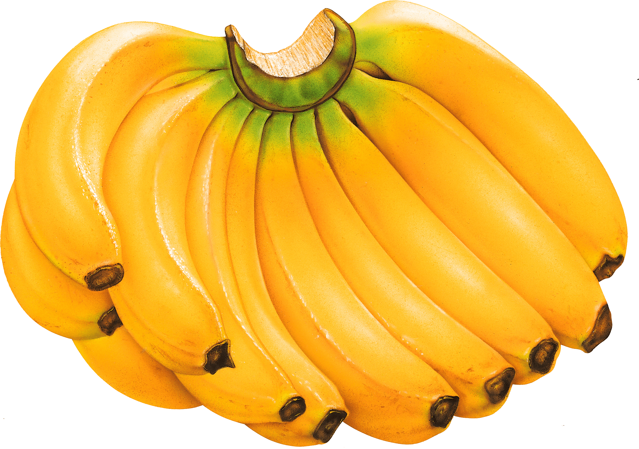 Banana Png Image PNG Image