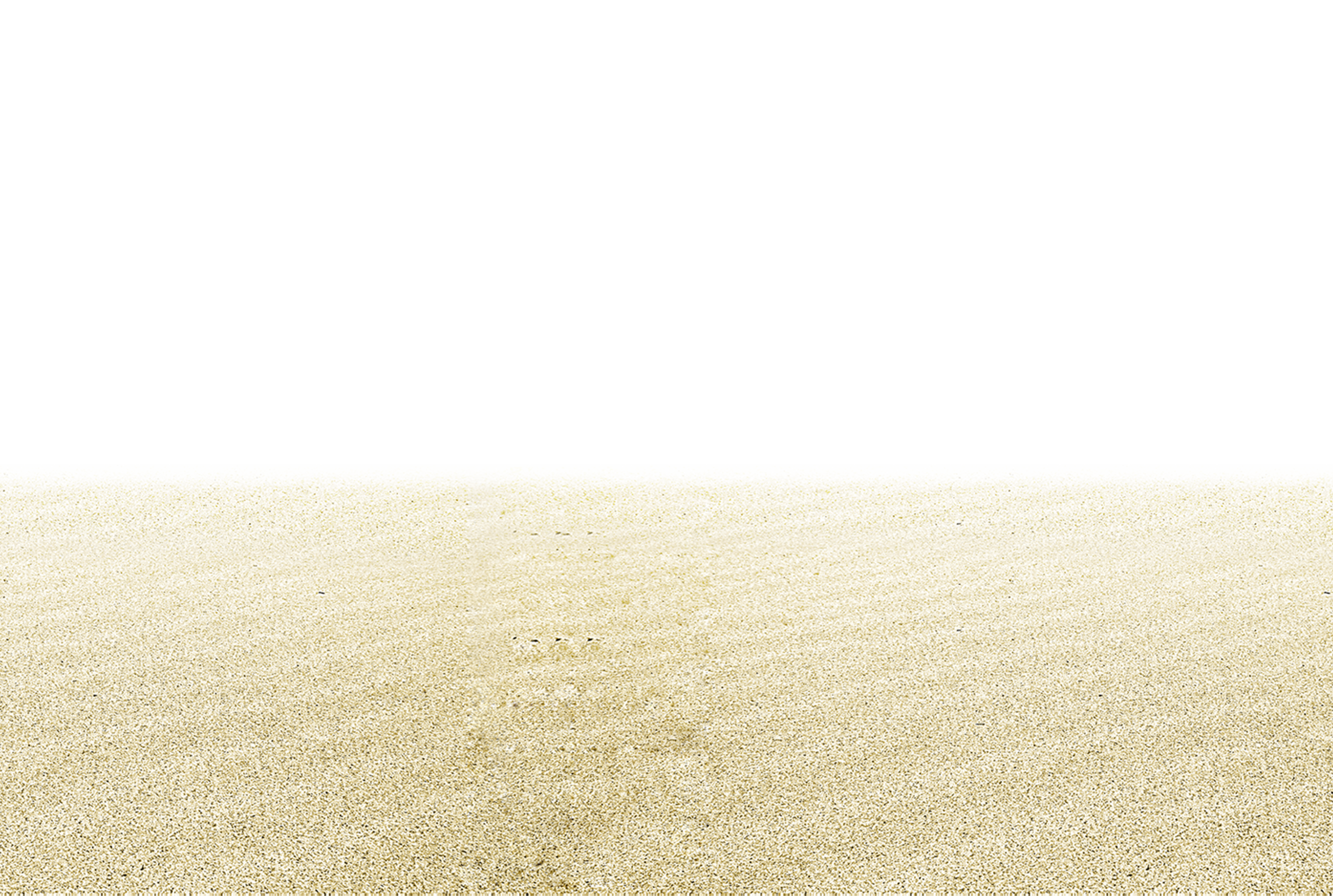Euclidean Vector Beach Sandy PNG Image High Quality PNG Image