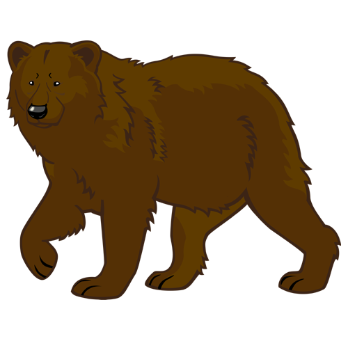 Vector Bear Free HD Image PNG Image