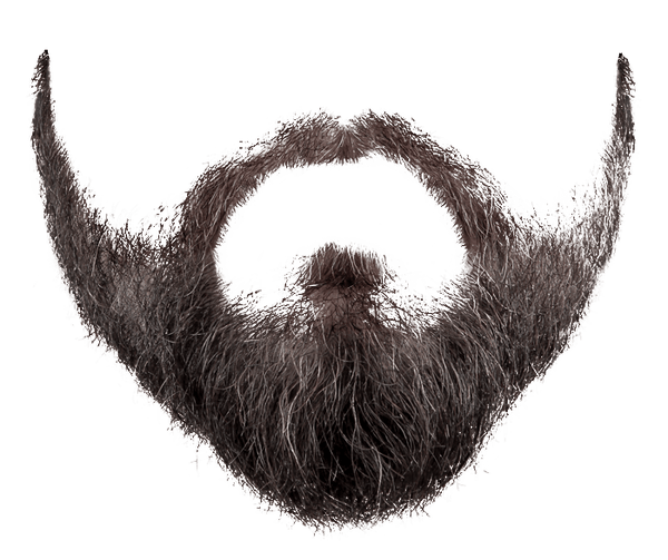 Beard Png Image PNG Image