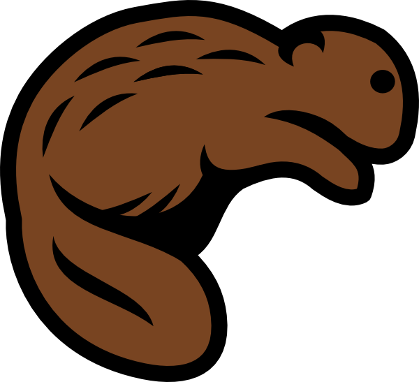 Beaver Photos PNG Image