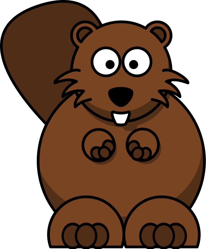 Beaver Transparent Image PNG Image