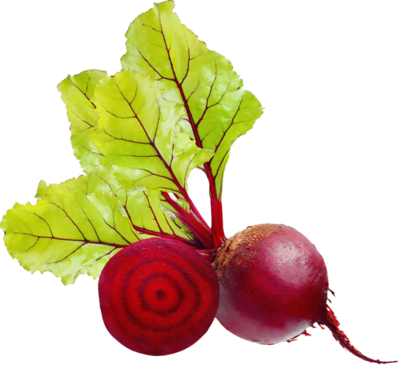 Beetroot Fresh Red Sliced Free Photo PNG Image