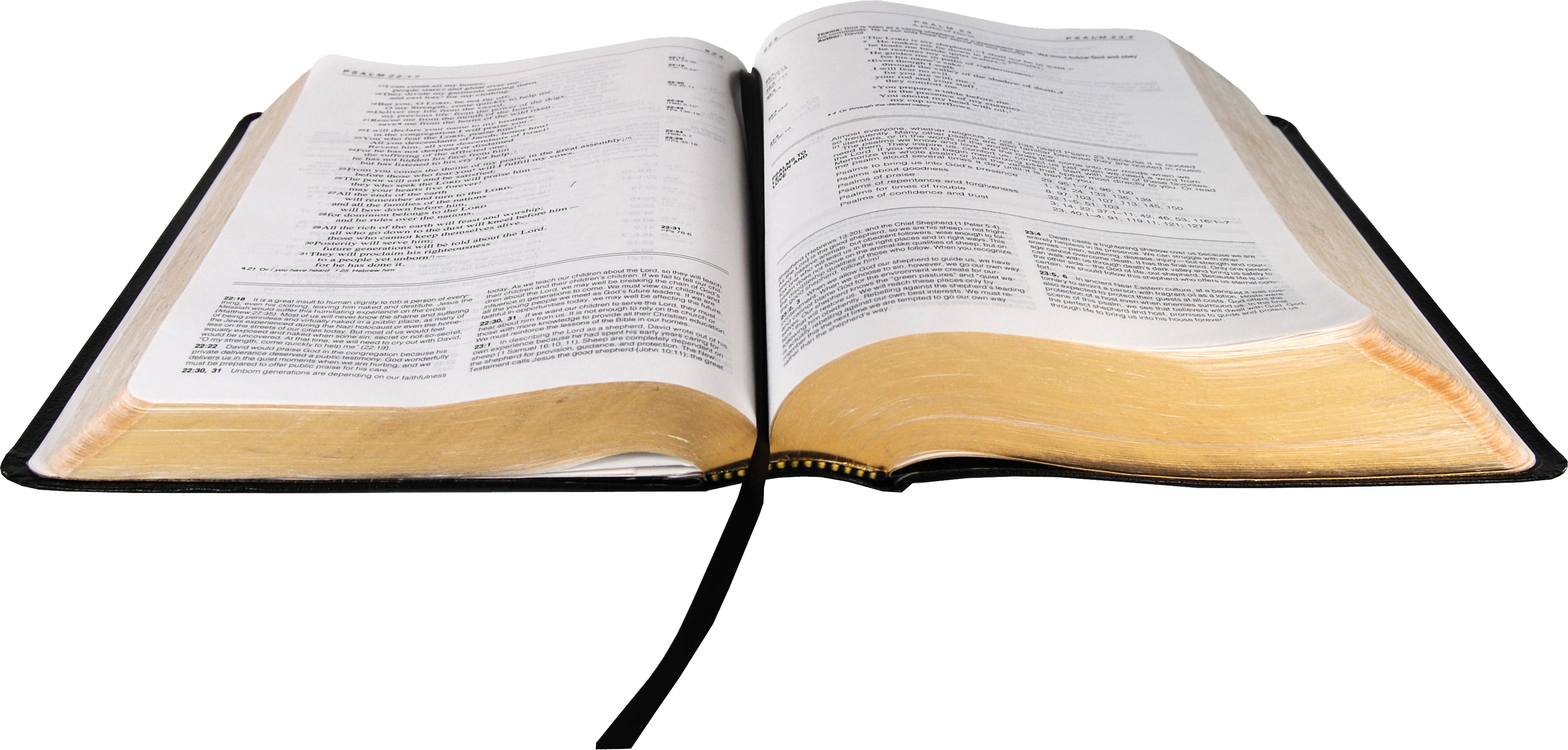 Bible Holy Free Download PNG HQ PNG Image