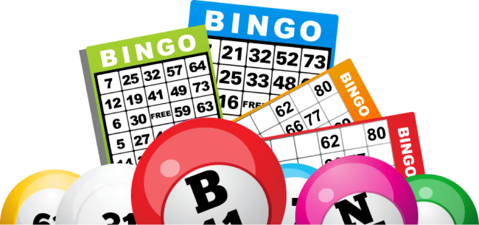 Bingo HD Image Free PNG Image