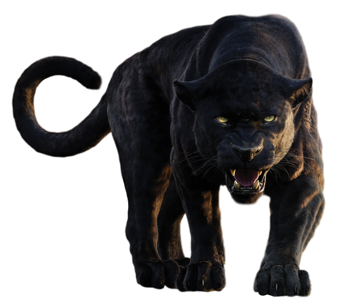 Khan Baloo Bagheera Panther Shere Book Black PNG Image