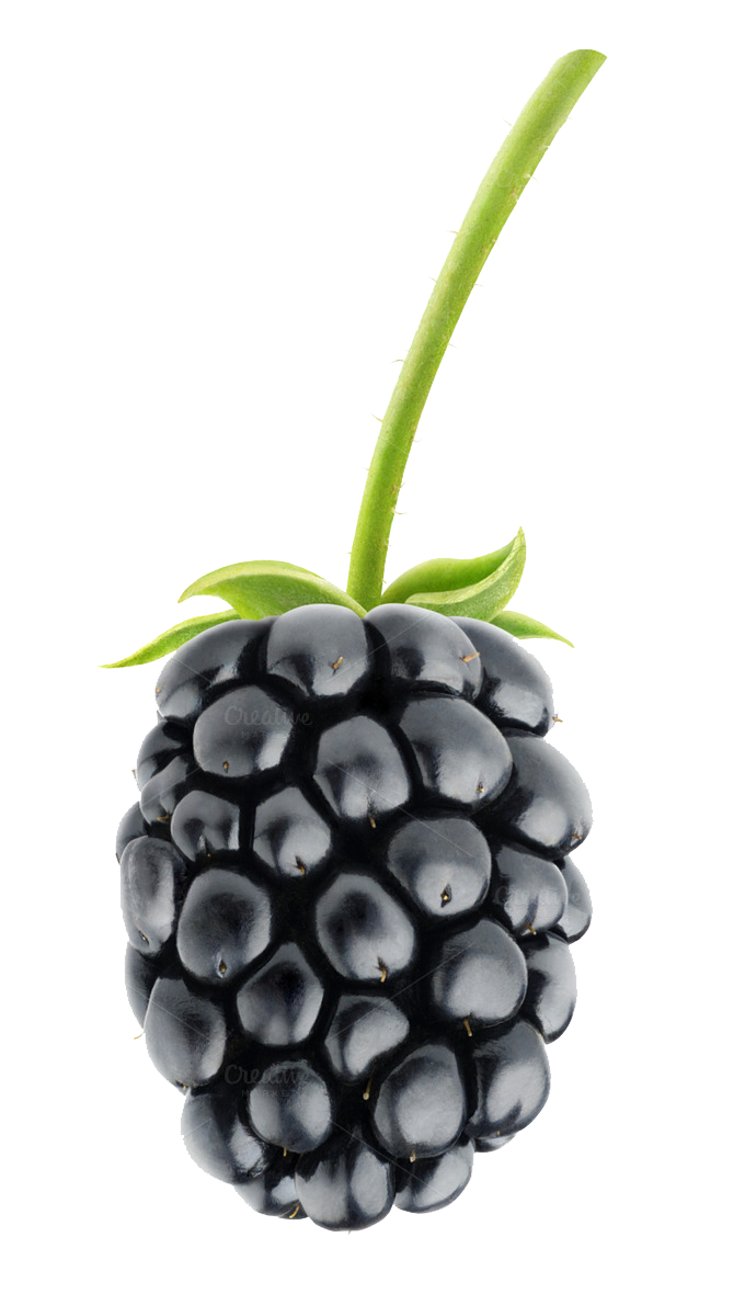 Blackberry Fruit Png Pic PNG Image