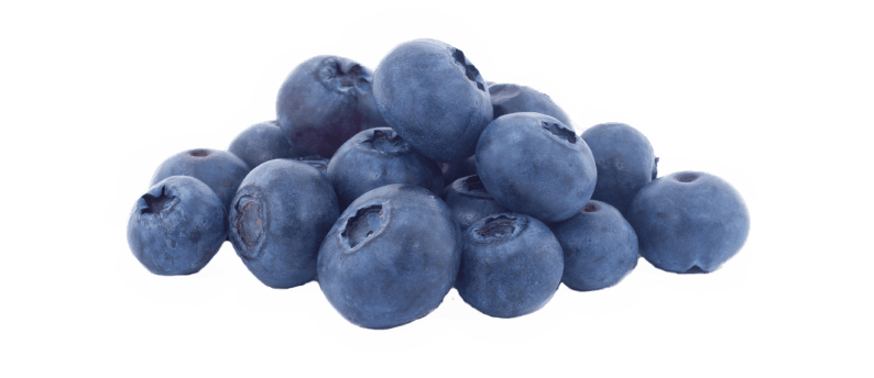 Blueberry PNG Image