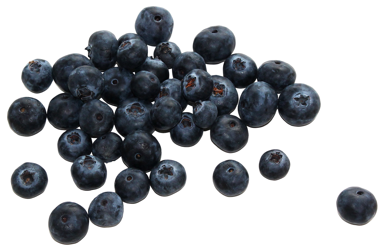 Blueberry Transparent PNG Image