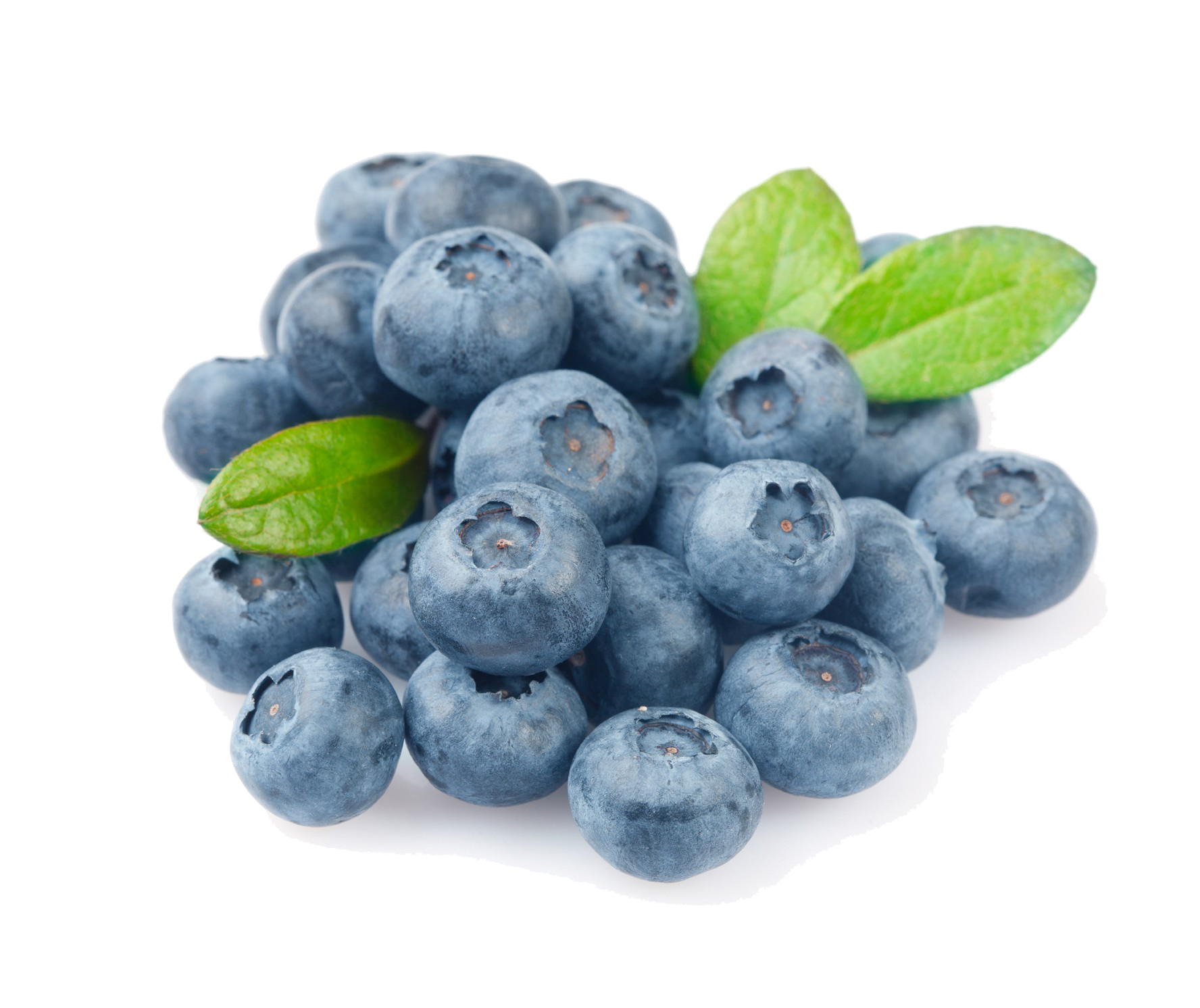 Download Blueberry Photo HQ PNG Image FreePNGImg