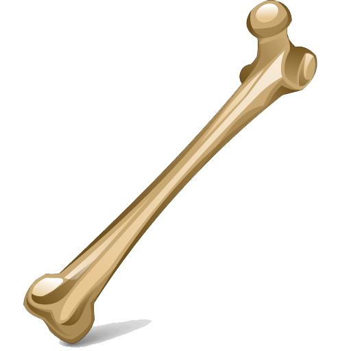 Bone Png Image PNG Image