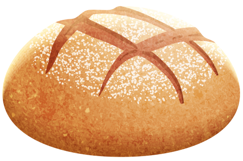 Vector Bun Bread Free Download Image PNG Image