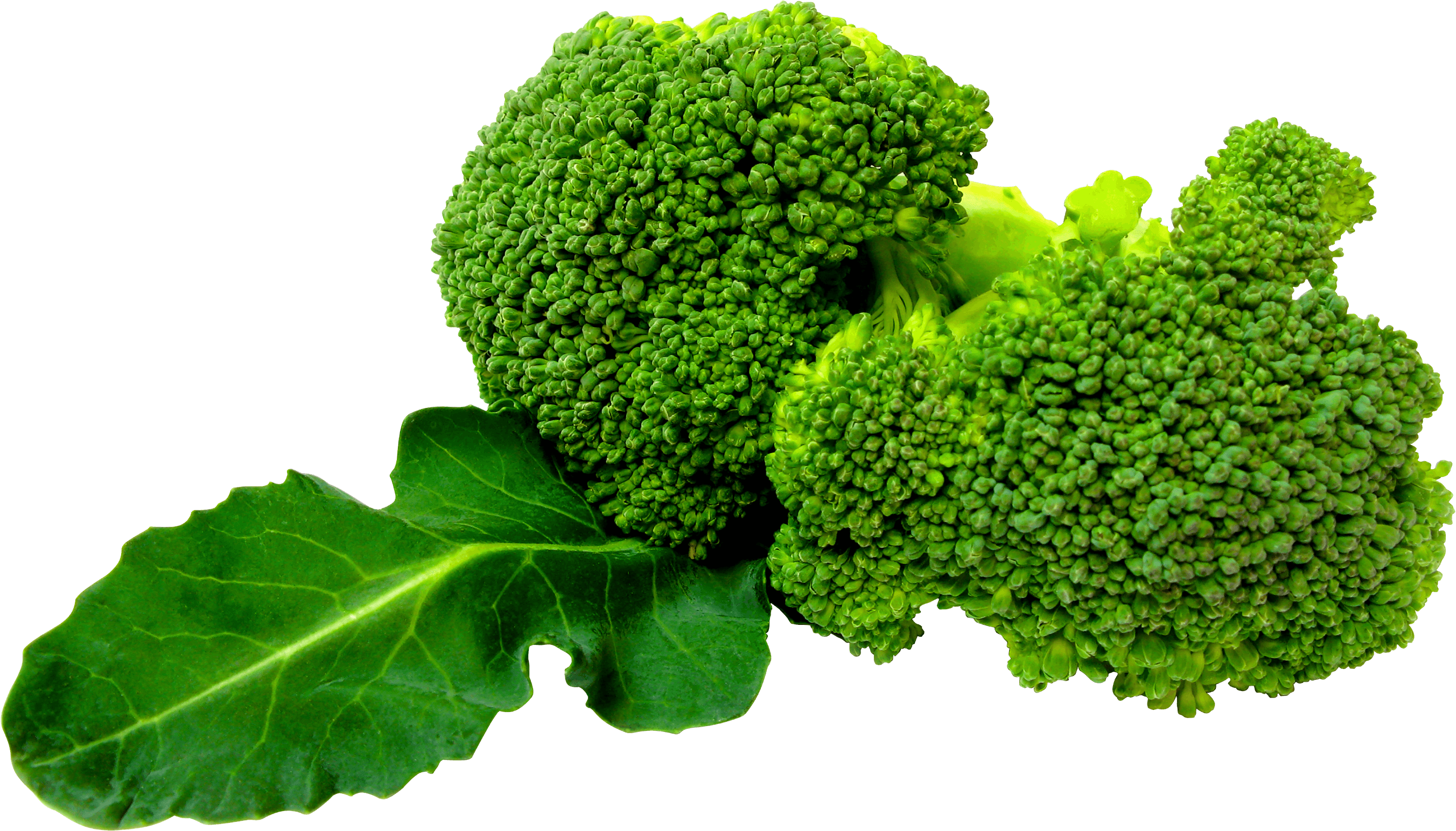 Green Broccoli Png Image PNG Image