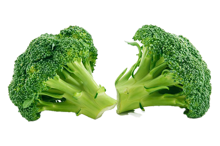 Green Broccoli PNG File HD PNG Image