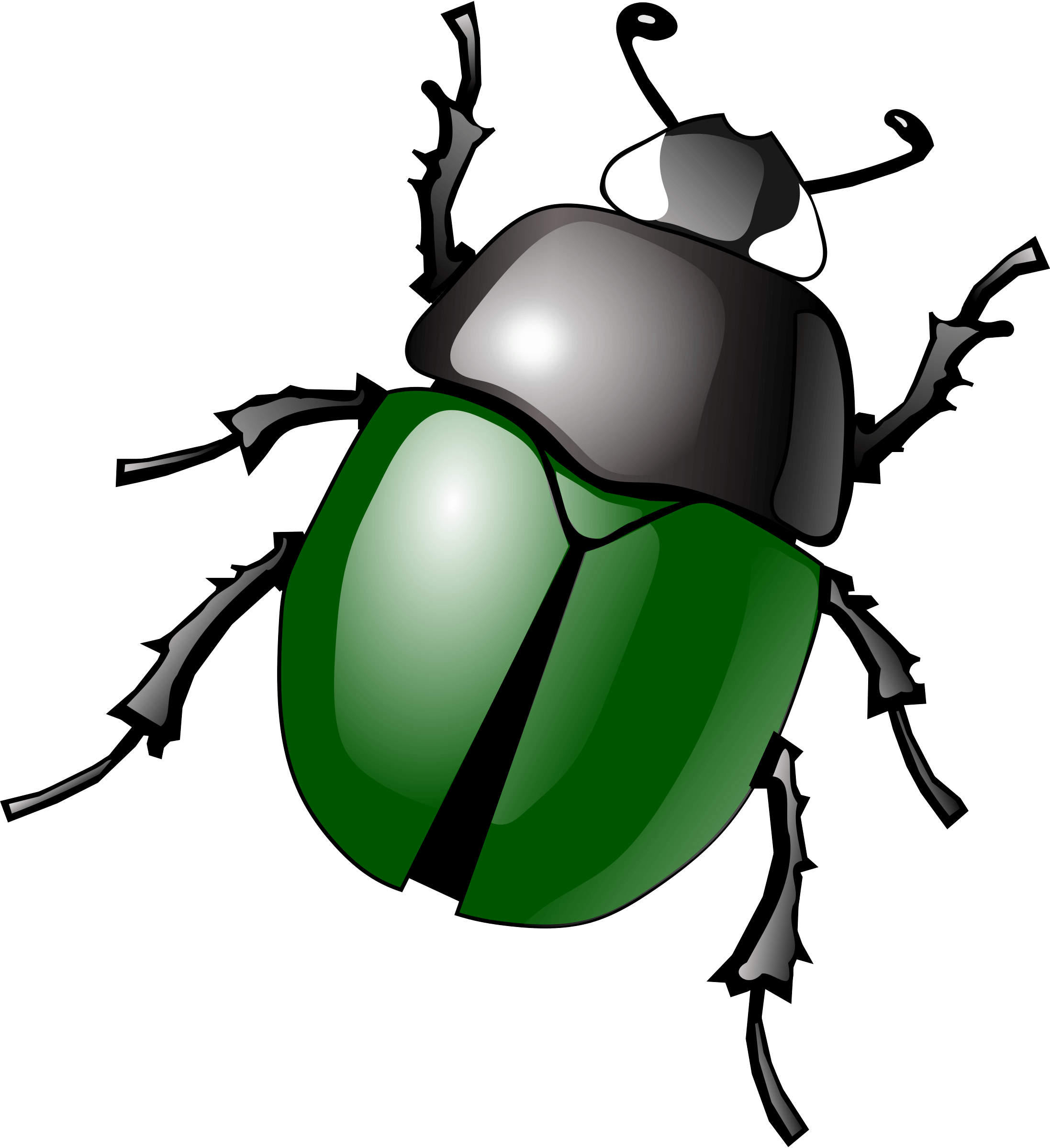 Bug Png Image PNG Image