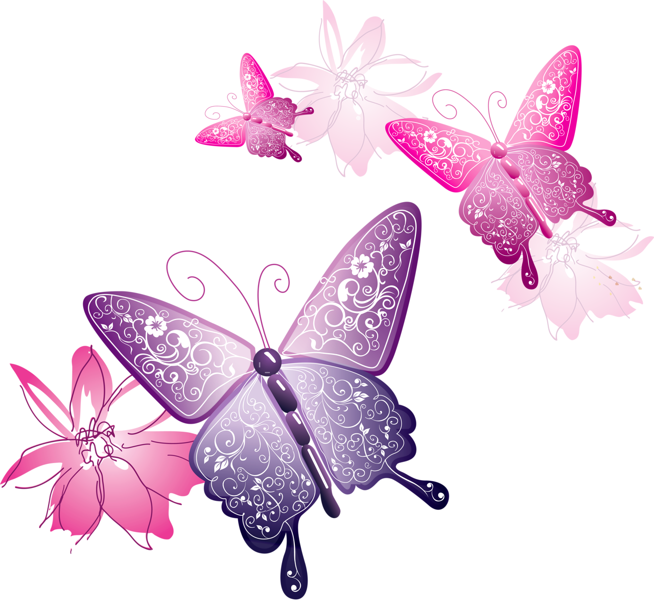 Vector Butterfly PNG Image