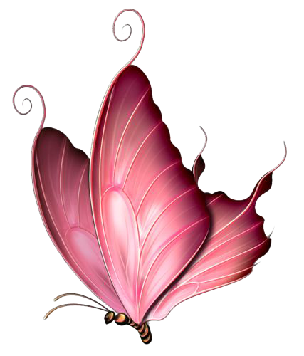 Pink Butterfly Image PNG Image