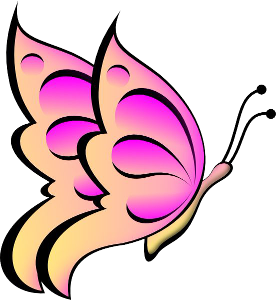 Butterflies Vector PNG Image