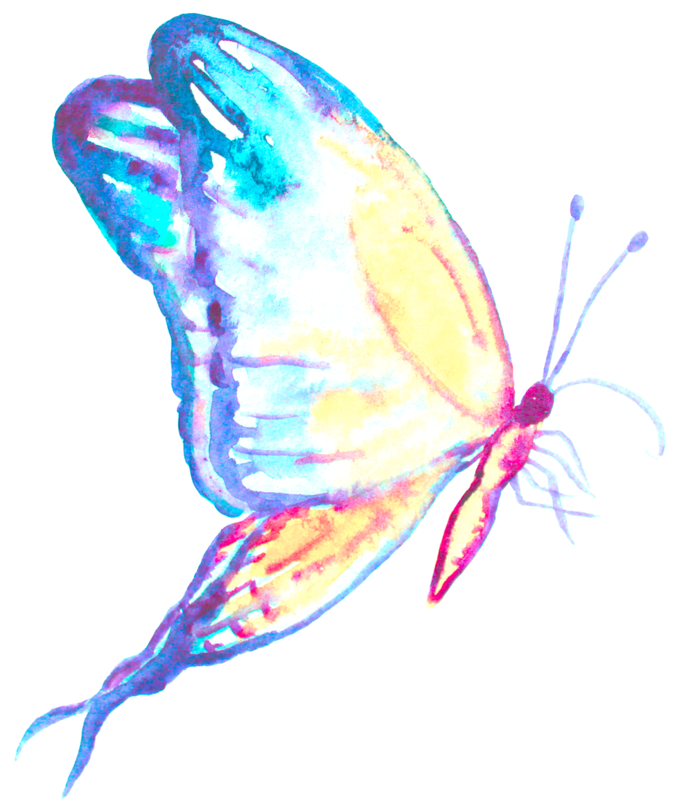 Butterfly Tattoo Insect Blue Ulysses Free Transparent Image HQ PNG Image