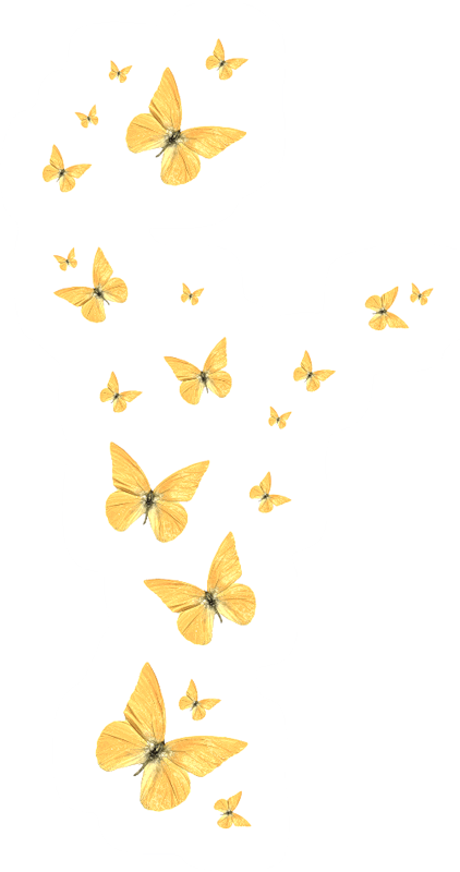 Butterfly Golden HQ Image Free PNG PNG Image