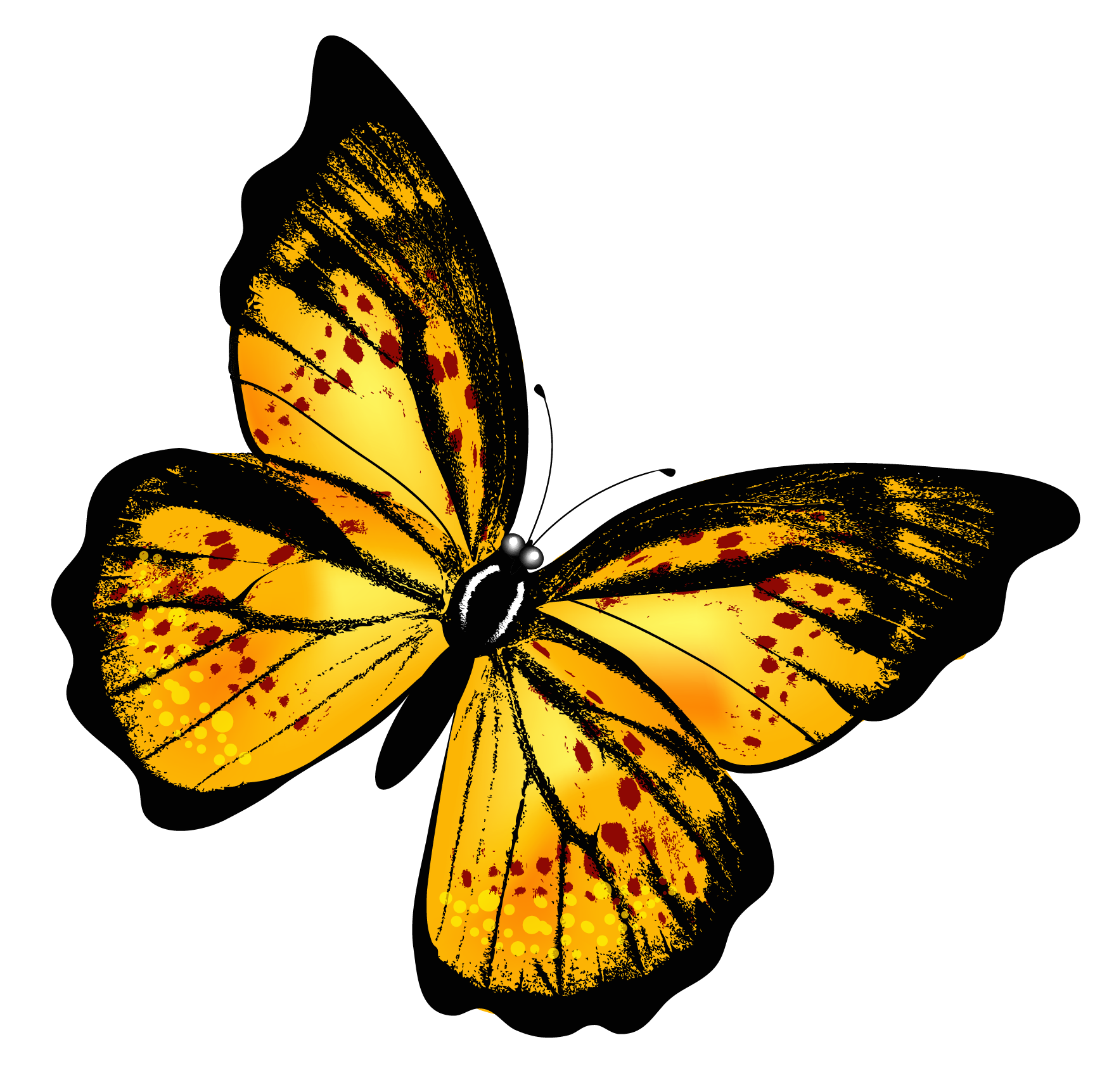 Butterfly Png 9 PNG Image