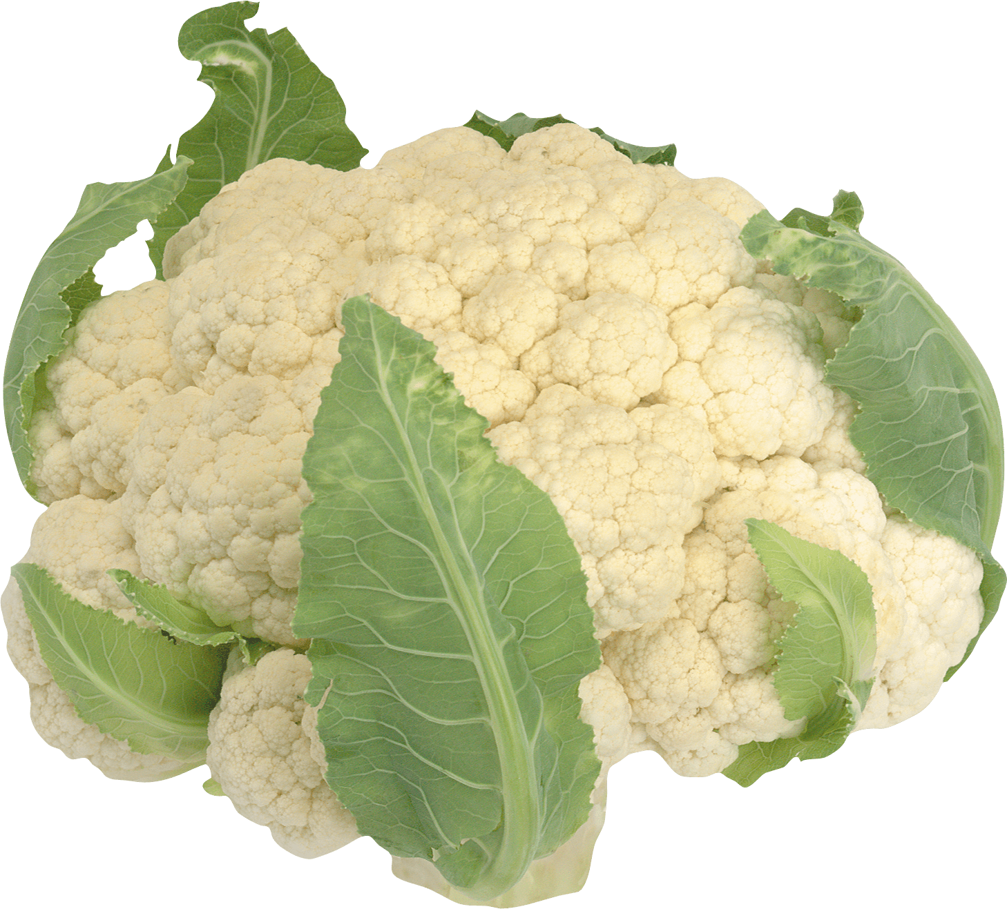 Cauliflower Png Image PNG Image