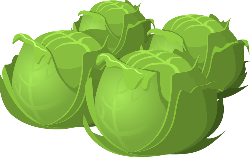Cartoon Cabbage Food PNG Image