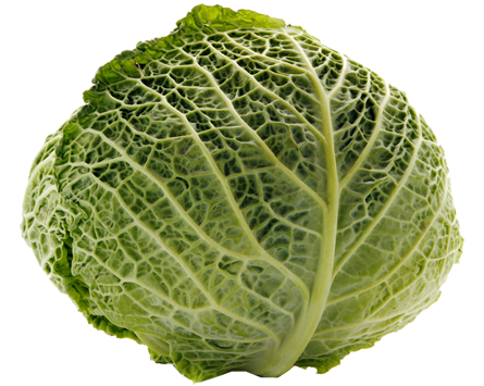 Cabbage Transparent PNG Image