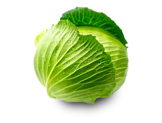 Cabbage Png Clipart PNG Image