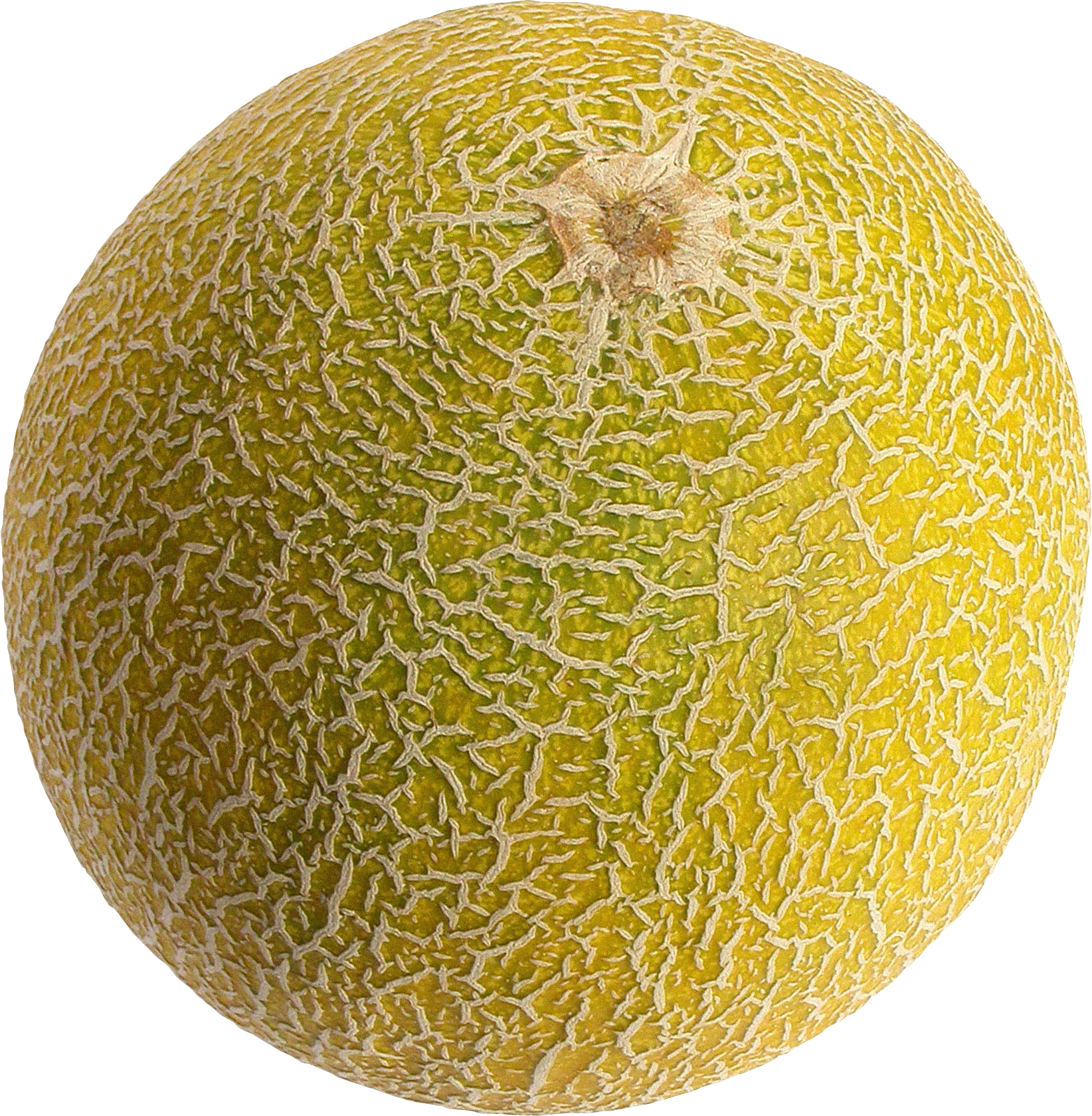 Fresh Cantaloupe Free Download Image PNG Image