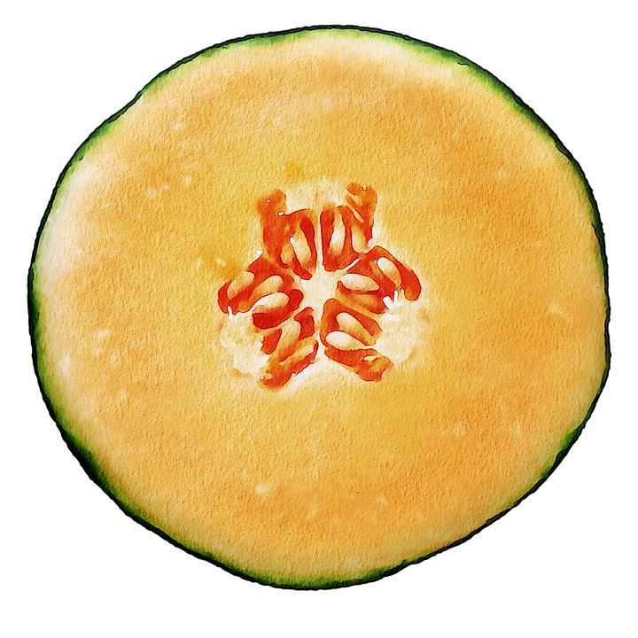 Cantaloupe Half HQ Image Free PNG Image