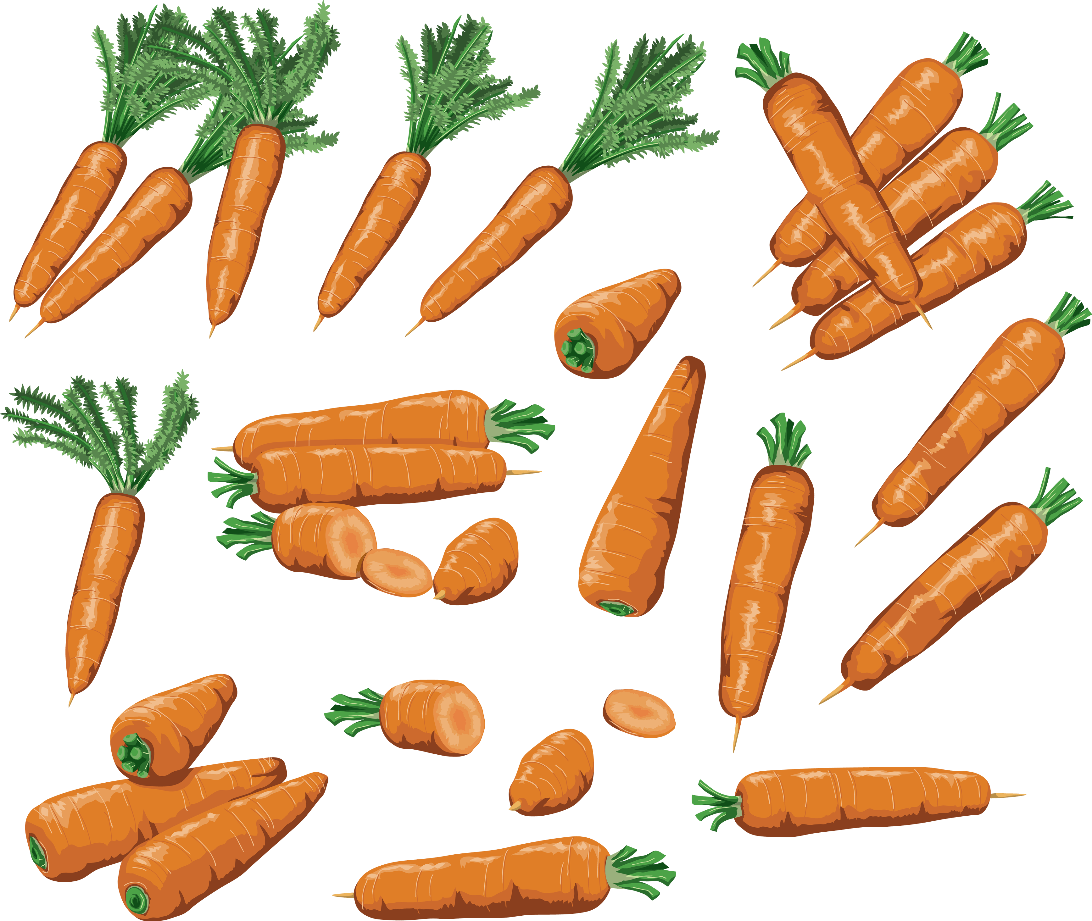 Carrots Png Image PNG Image