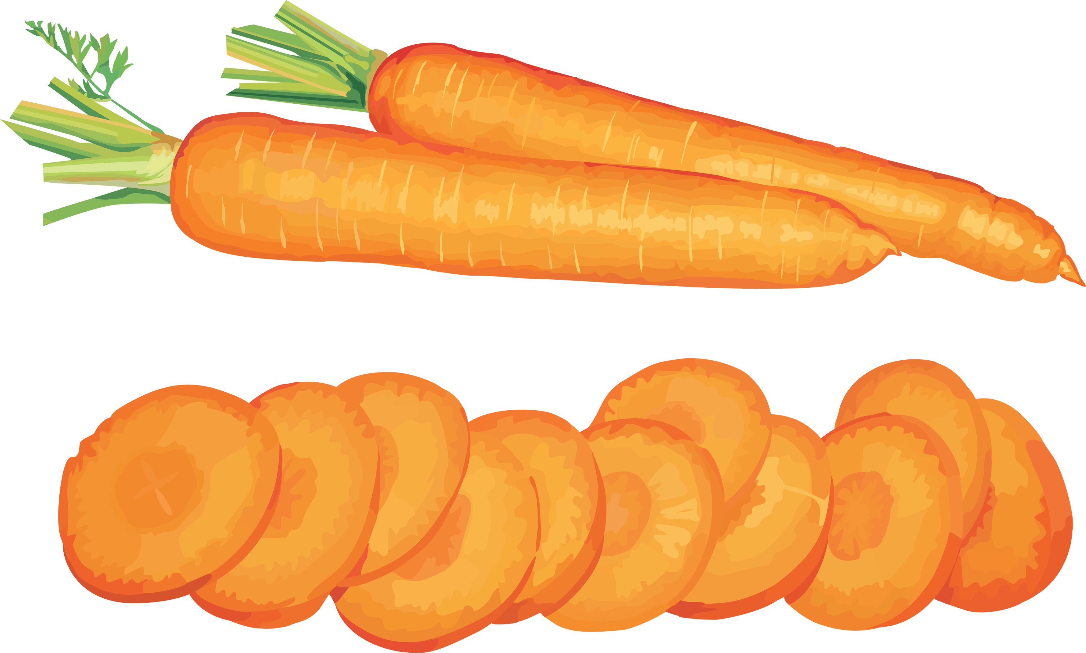 Carrot Png Image PNG Image