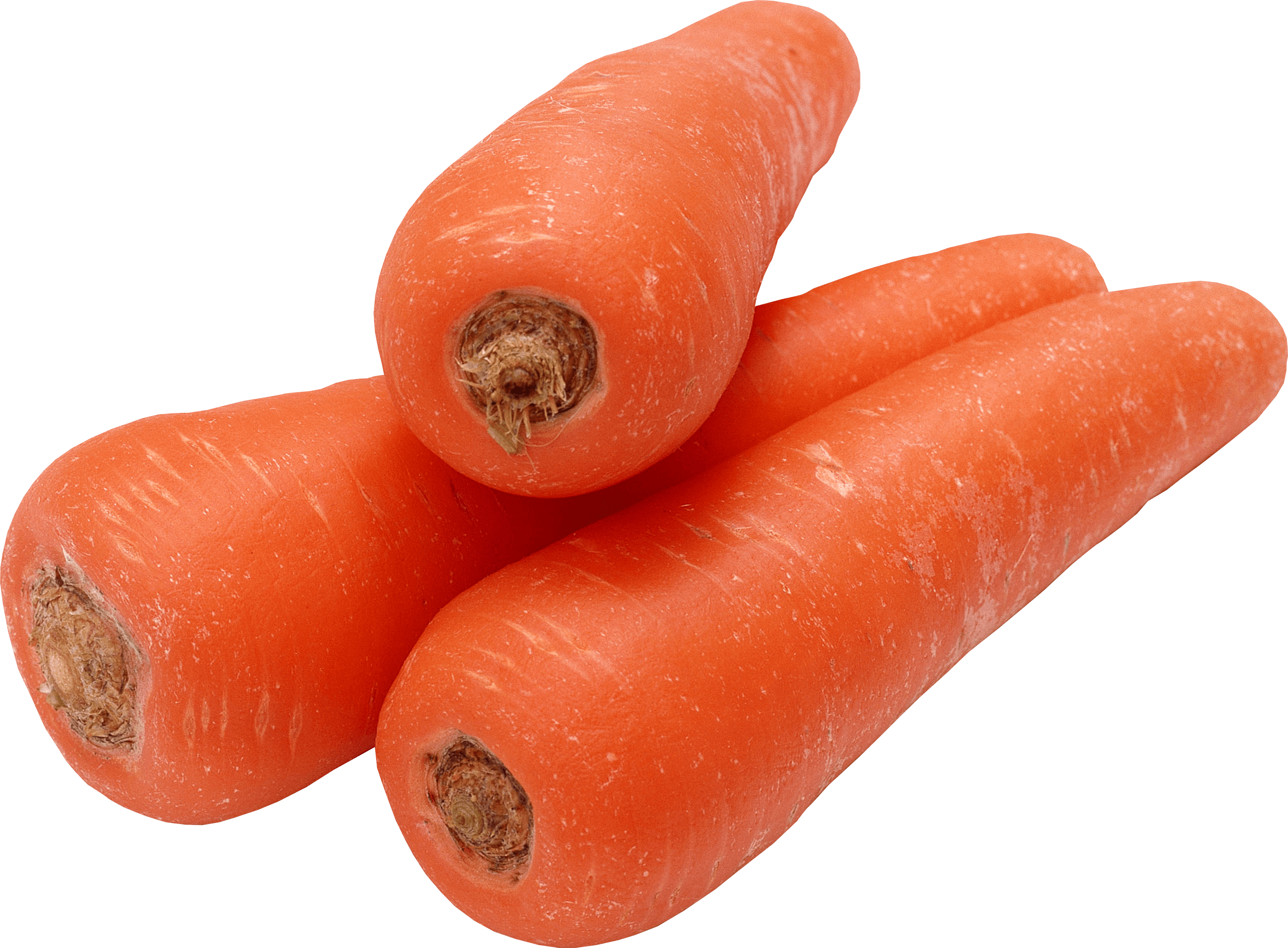 Carrot Png Image PNG Image