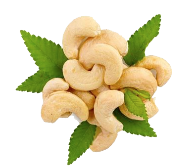 Cashew Png Hd PNG Image