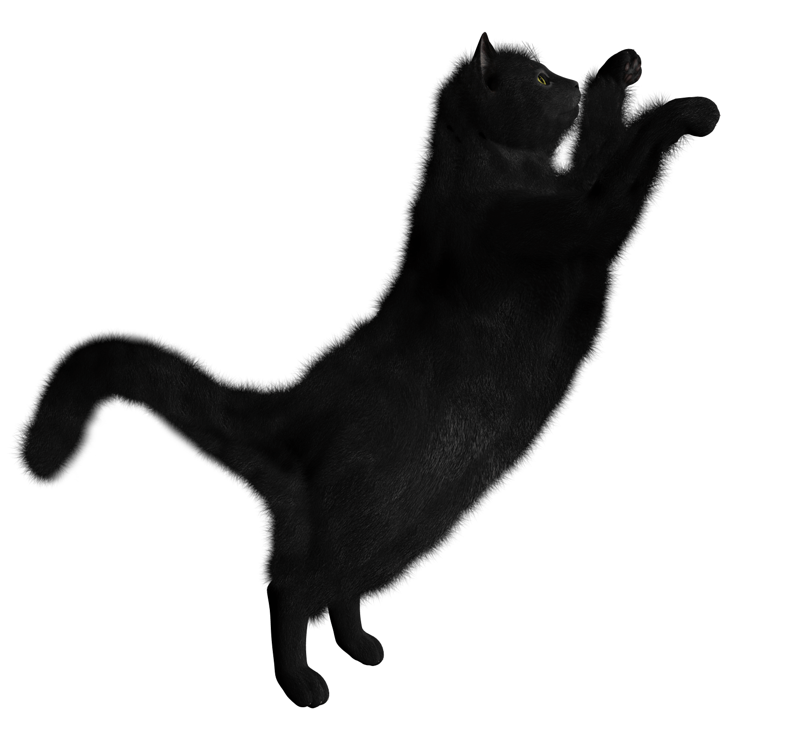Black Cat Png Image PNG Image