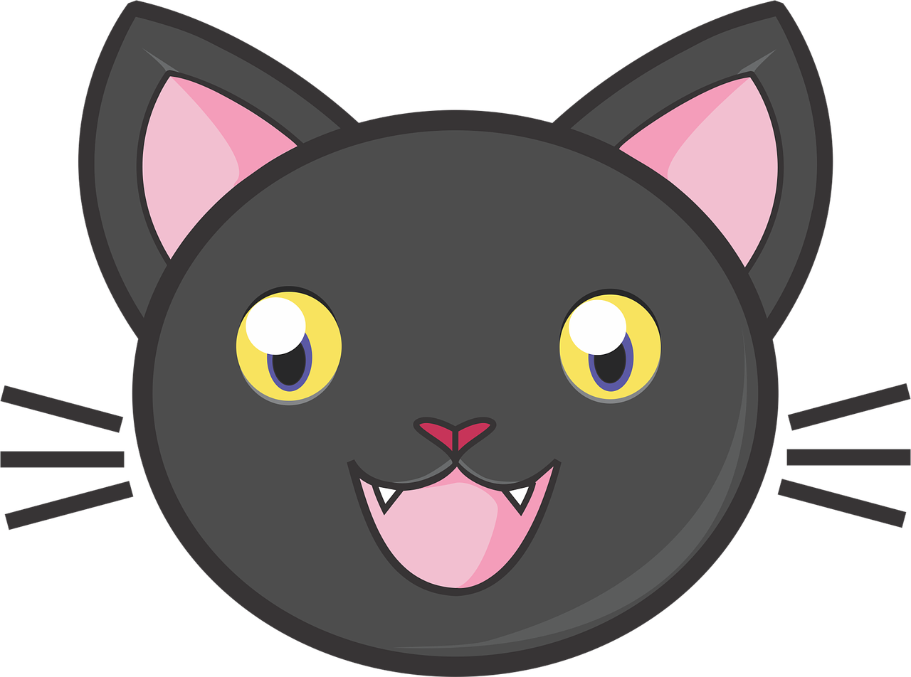 Vector Cat Face Free Download PNG HQ PNG Image