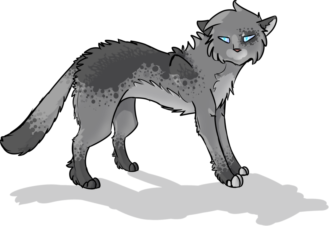 Whiskers Fox Cat Lion Wolf Red PNG Image