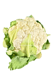 Cauliflower File PNG Image