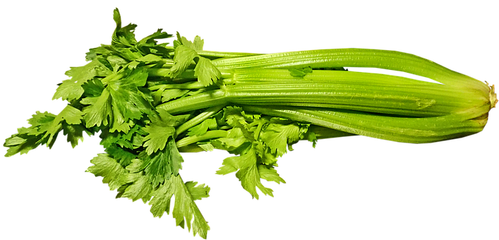Celery Green Free PNG HQ PNG Image