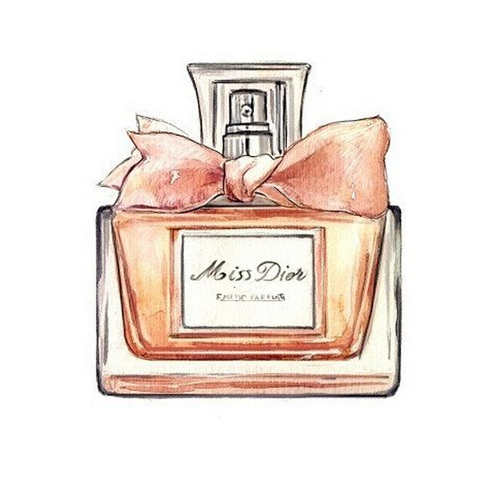 Chanel Watercolor Coco Perfume Painting Drawing PNG Image