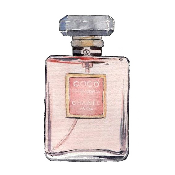 Mademoiselle No. Perfume Watercolor Coco Painting Chanel PNG Image