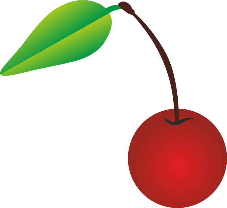 Cherry Vector Image PNG Image