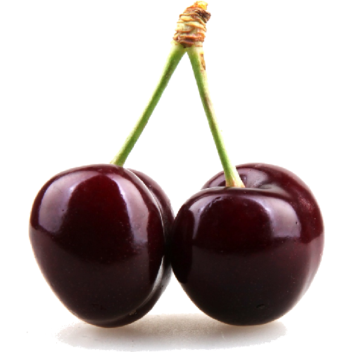 Black Cherry Clipart PNG Image